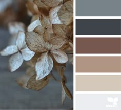 a bunch of leaves that are on top of each other in color swatches,