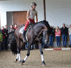 a man riding on the back of a brown horse in front of a group of people