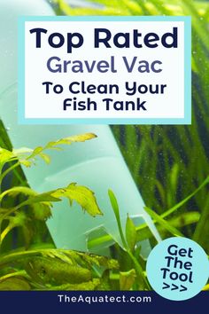 the top rated gravel vac to clean your fish tank with text overlaying it