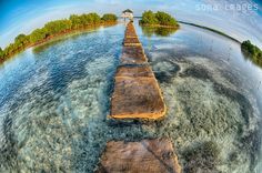 an aerial view of a long wooden pier in the middle of water with trees on both sides