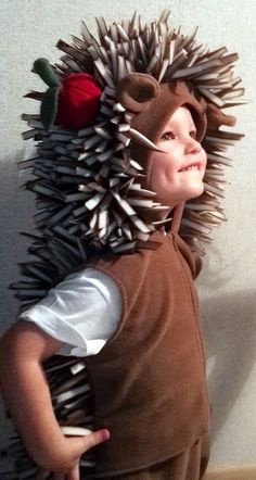 a young boy wearing a costume made to look like a hedgehog