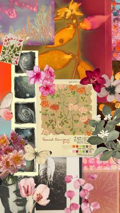 a collage of flowers and pictures with different colors on it's sides, including pinks, oranges, yellows, and green