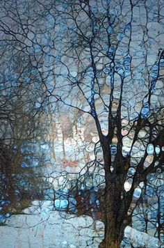 a tree with no leaves in front of a building and water droplets on the ground