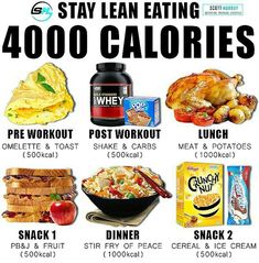 Bulking Meal Plan, Muscle Gain Meal Plan, Lean Bulk, Weight Gain Journey, Weight Gain Meals