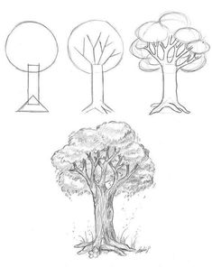 four different types of trees are shown in this drawing lesson, which shows how to draw the