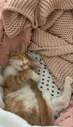 an orange and white cat laying on top of a bed covered in blankets next to pillows