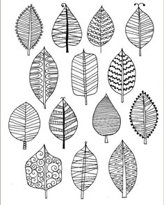 a drawing of different types of leaves