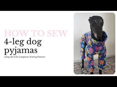 a black dog wearing a colorful outfit with the words how to sew 4 - leg dog pyjamas