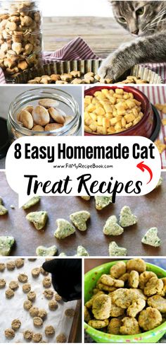 Various cat treat easy recipe ideas to make at home with healthy ingredients such as peanut butter or tuna and chicken. Grain free and no fish and catnip. Catnip Treats For Cats, Salmon Cat Treats Homemade, Cat Treat Recipes Easy, Diy Kitty Treats, Healthy Homemade Cat Treats, Chicken Cat Treats, Baked Cat Treats