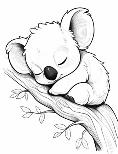 a koala sleeping on top of a tree branch with its head resting on the branch