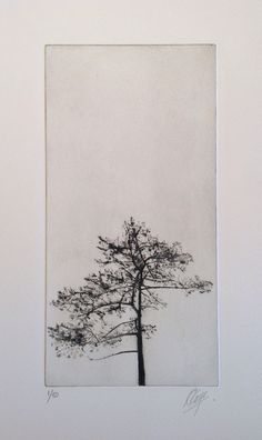 a black and white photo of a tree with no leaves on the top, against a white background