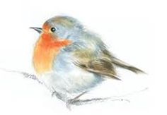 a drawing of a small bird sitting on top of a white surface with orange and blue feathers