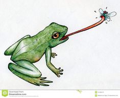 a drawing of a frog with a bug in its mouth