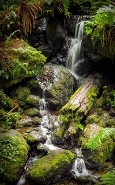 a small waterfall in the middle of a forest filled with green mossy rocks and trees