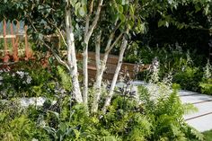 a wooden bench sitting in the middle of a lush green garden