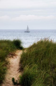 a sailboat is sailing in the ocean on a cloudy day with grass and sand