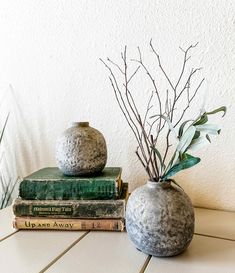 two gray vases sitting on top of each other next to some books and plants