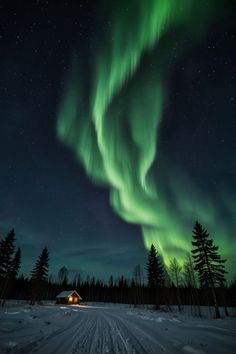 an aurora bore is seen over a road in the night sky with trees and snow