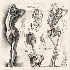 an image of a drawing of some human body parts in various poses and positions, including the head, arm, and leg