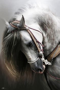 a painting of a white horse with a bridle