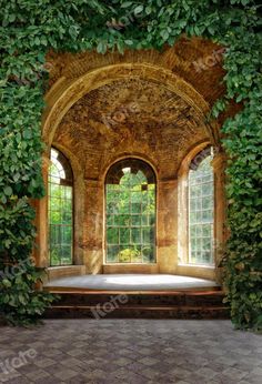 an old building with ivy growing on it's walls and two windows in the middle