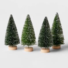 three small trees in wooden bases on a white surface