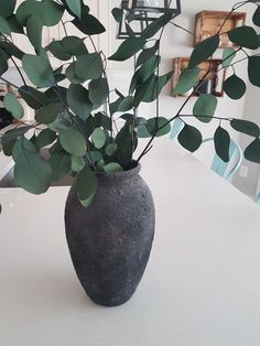 a plant in a vase sitting on a table