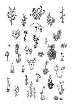 various plants and trees drawn in black ink on white paper, with the words'i love