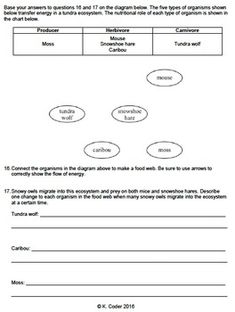 the worksheet for an organization's workbook