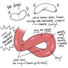 an illustrated diagram of how to use a donut