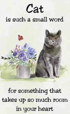 a cat is sitting next to a potted plant with flowers and a butterfly on it