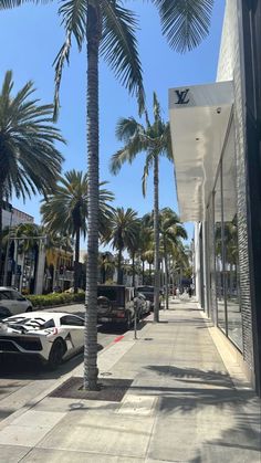 palm trees line the sidewalk in front of a storefront with cars parked on it