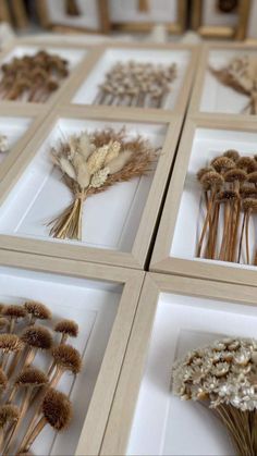 four framed pictures with dried flowers in them