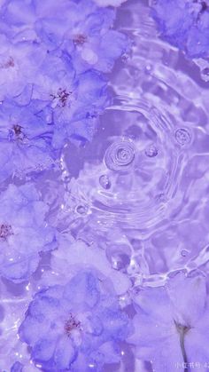 purple flowers in water with ripples on the surface