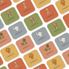 an image of different animals and names on the same square tile wallpaper pattern in orange, green, blue, red, yellow