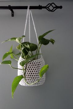 a plant hanging from a hook on a wall