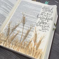 an open bible on a wooden table with some writing in the pages and grass growing out of it