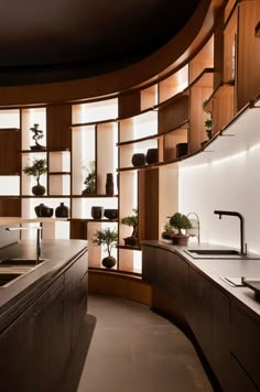 a modern kitchen with wooden cabinets and counter tops, along with potted plants on shelves