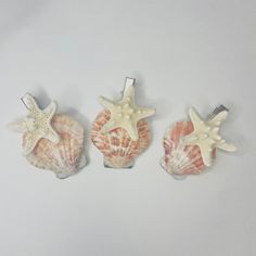 perfect hair clips to add a touch of coast charm, Hand crafted with love this sea shell hair clip makes for a great bridal show, wedding, beach outing accessorie Ocean Crafts, Star Fish, Shell Crafts