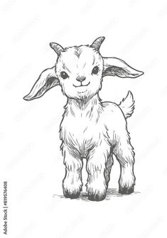 a black and white drawing of a small goat with long ears, standing on the ground