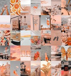 a collage of photos with oranges and pinks on them, including an orange butterfly