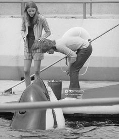 two people standing on top of a boat next to a dolphin swimming in the water