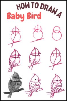 an image of how to draw baby bird