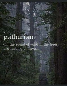 a path in the middle of a forest with trees on both sides and words that read,