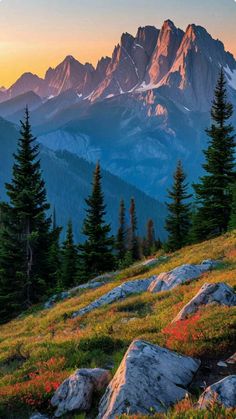 the mountains are covered in pine trees and grass as the sun is setting over them