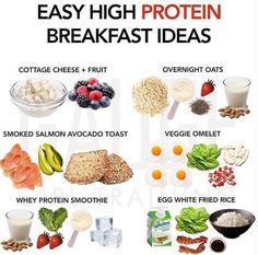 Salads Protein, Easy High Protein Breakfast, Whey Protein Smoothies, High Calorie Breakfast, High Protein Breakfast Ideas, Protein Macros, Protein Breakfast Ideas, Low Calorie High Protein, High Calorie