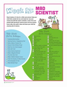 the mad scientist poster is shown with instructions for students to learn how to use it