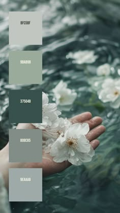 Colors:
BFC5BF
9BAB9B
37504B
808C85
9EAAA8 Nature Color Combination, Colors That Go With White, Ethereal Color Palette, Aesthetic Color Combinations, Peaceful Color Palette, Soft Green Color Palette, Shades Of Dark Green, Droplets Of Water, Apartment Color Schemes