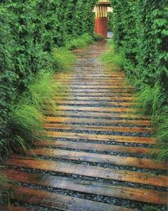 an image of a pathway that is going through the trees