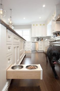 a dog is running through the kitchen with his food